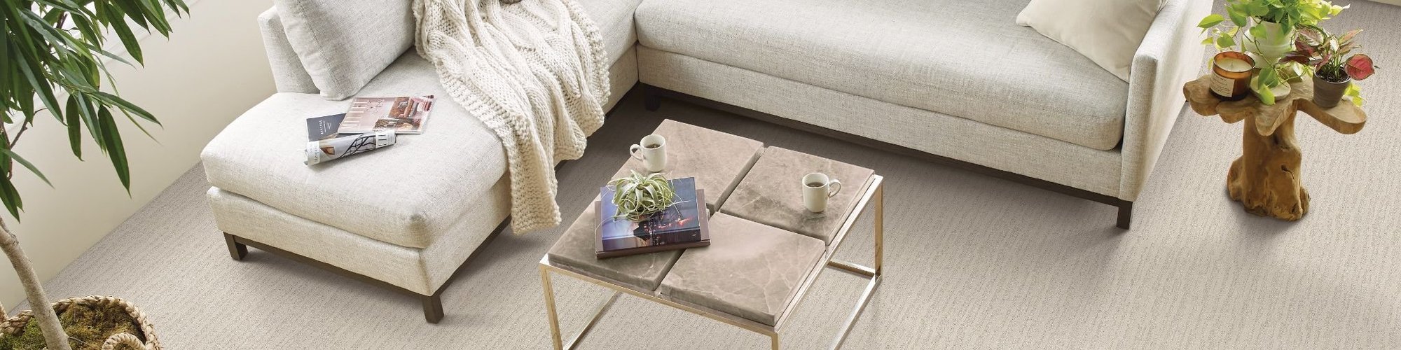 Caress Carpet by Shaw Floors available at Central Carpet Interiors in Beavercreek, OH