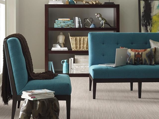 Caress carpet in mid-century modern living room